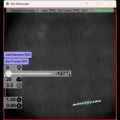 File:Video Project.gif
