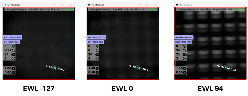 File:EWLtest.png