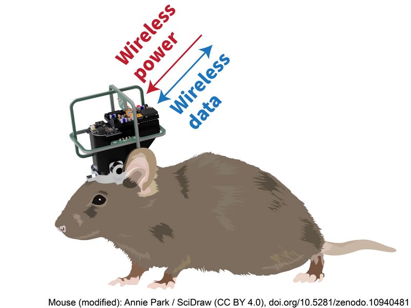File:Miniscope Zero v0.1.1 minizero thumbnail.jpg