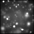 Thumbnail for version as of 17:17, 8 June 2026
