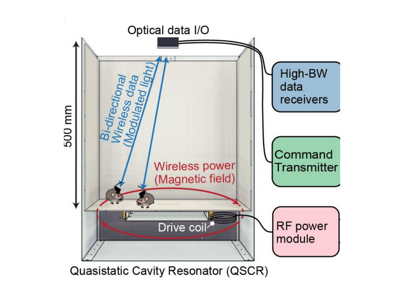File:Miniscope zero card qscr.png