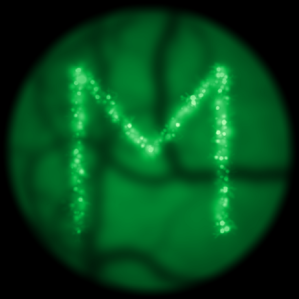 File:Minisim mark.png