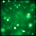 Thumbnail for version as of 17:17, 8 June 2026